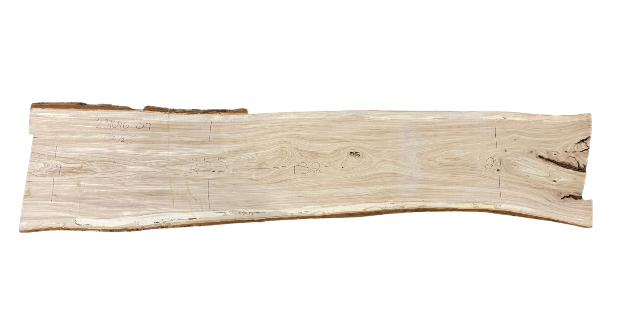 American Elm Slab 23101609 Urban Lumber