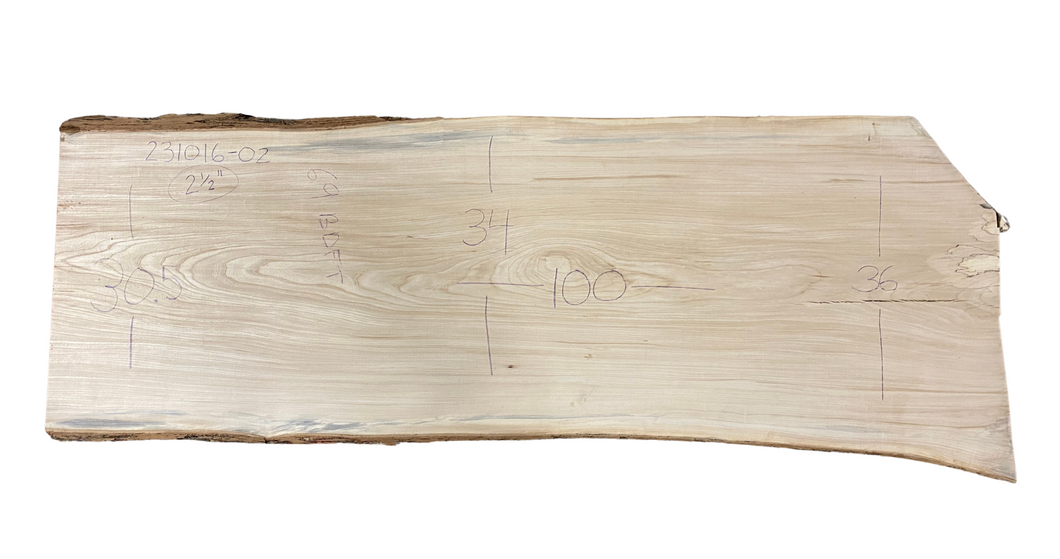 American Elm Slab 231016-02