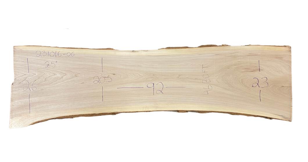 American Elm Slab 231016-06