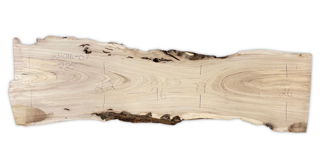 American Elm Slab 231016-07