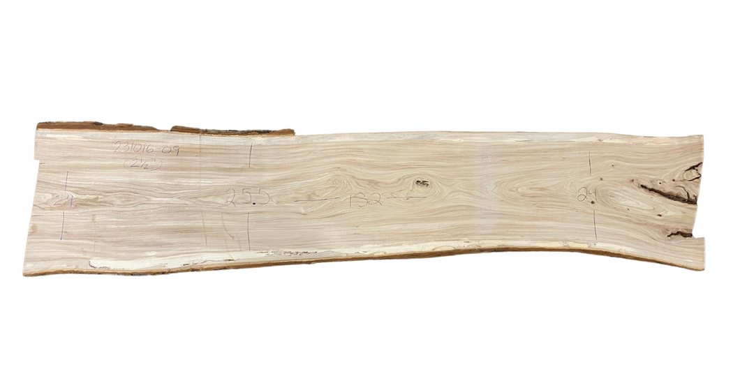 American Elm Slab 231016-09