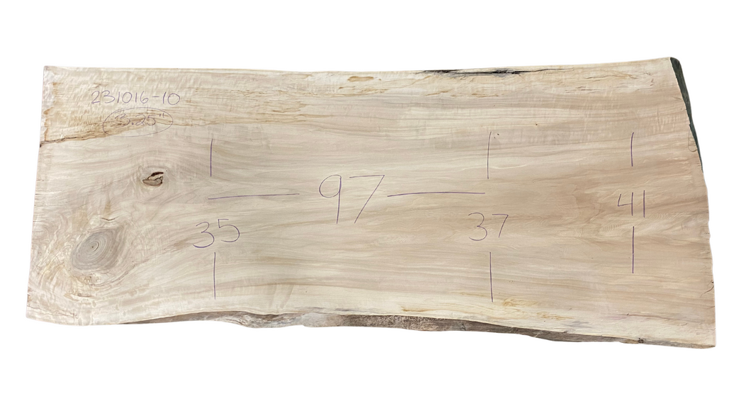 Cottonwood Slab 231016-10