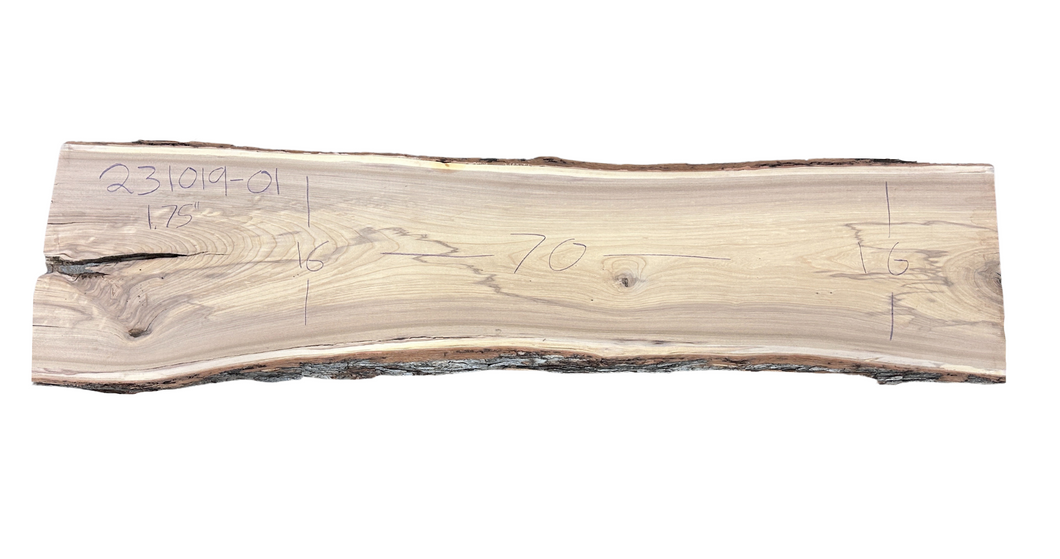 American Elm Slab 231019-01