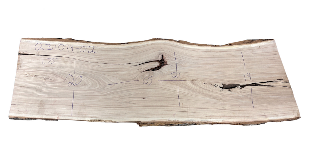 American Elm Slab 231019-02