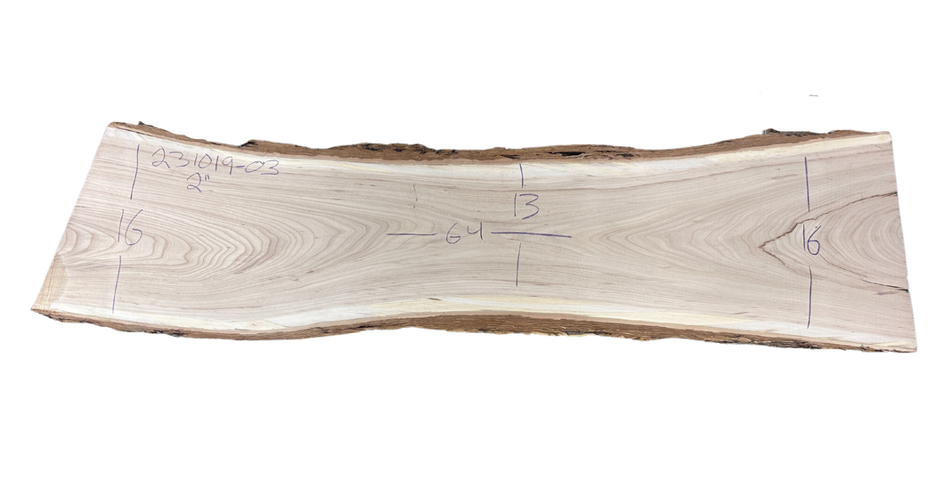 American Elm Slab 231019-03