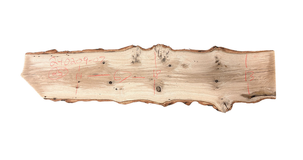 White Oak Slab 240209-07