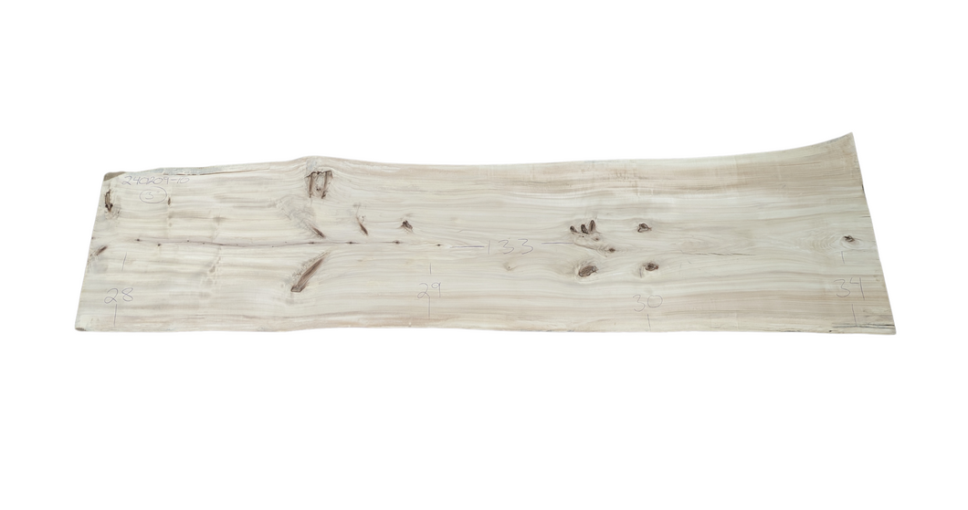 Cottonwood Slab 240209-10