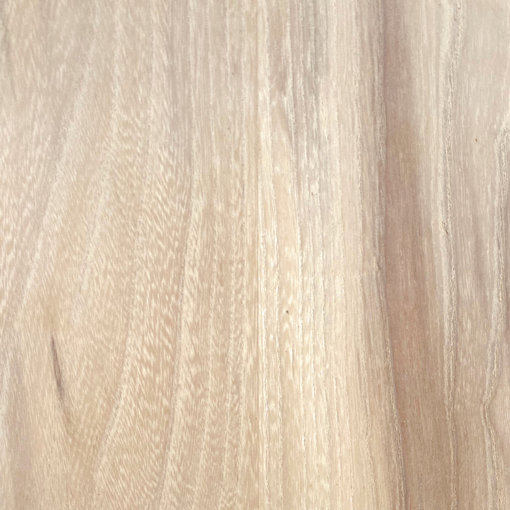 Elm Wood Colour Samples