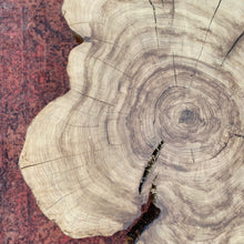 Load image into Gallery viewer, Round Live Edge Coffee Table
