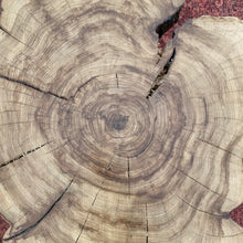 Load image into Gallery viewer, Round Live Edge Coffee Table
