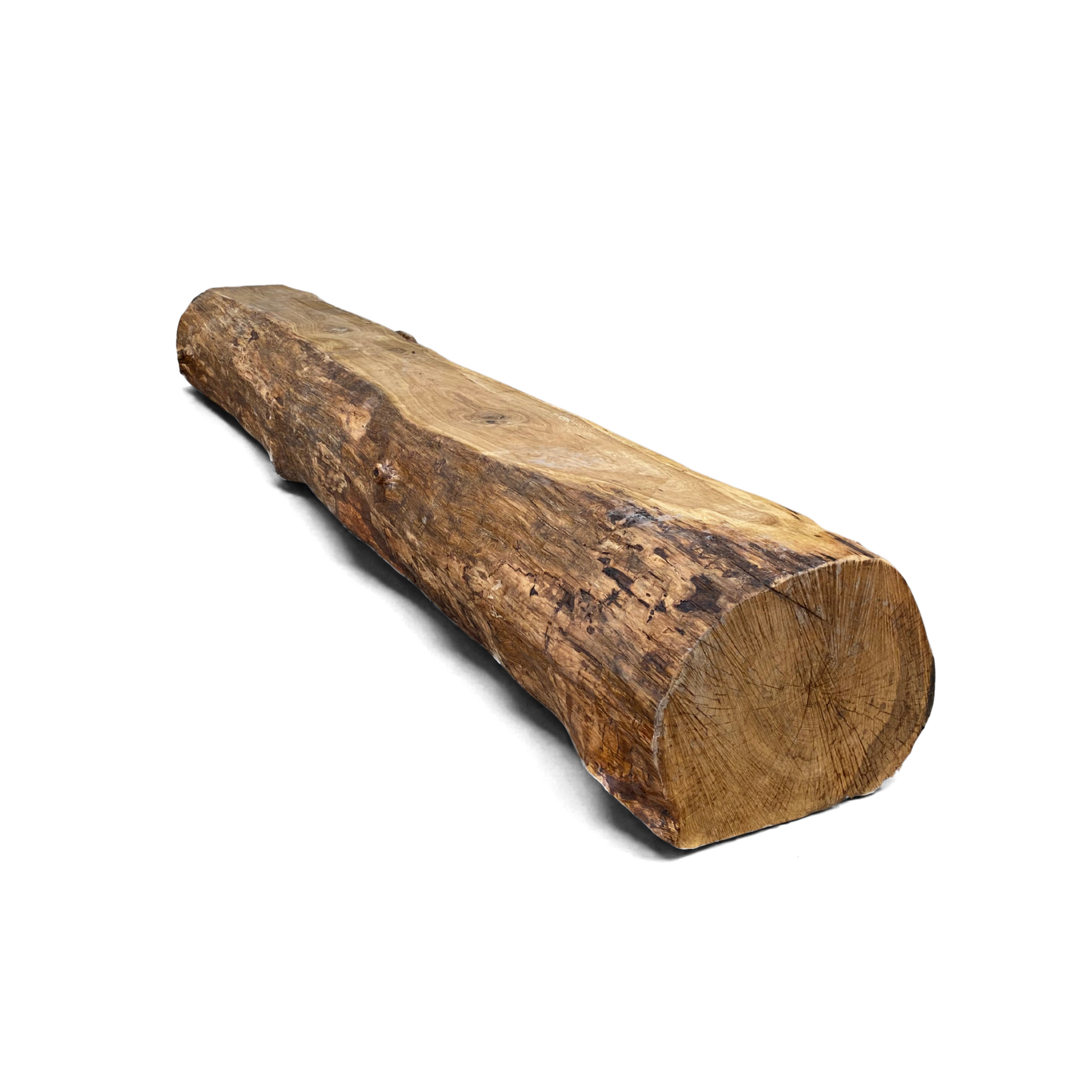 Wooden log on a white background