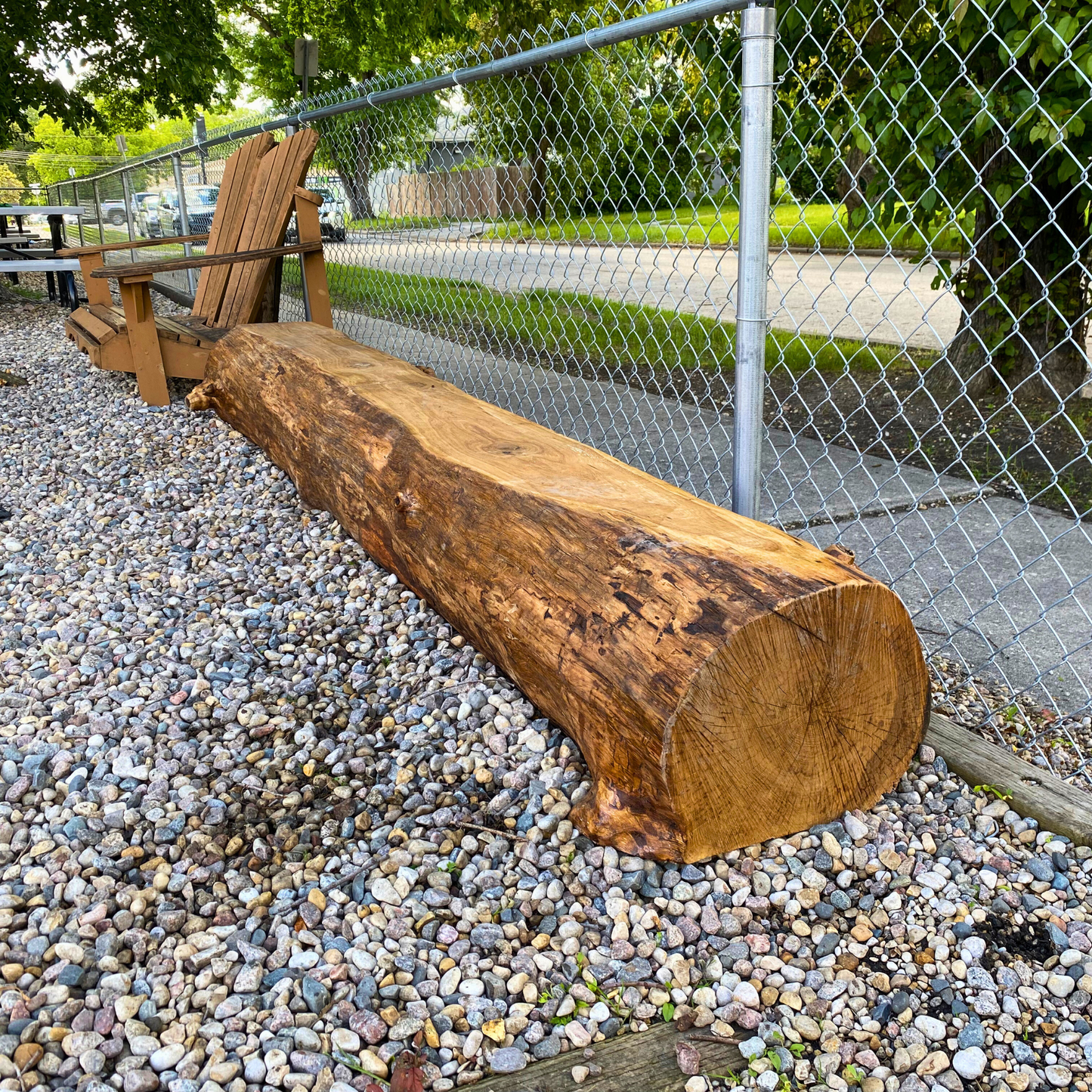 Wooden log on pebbles with a chain-link fence and greenery in the background