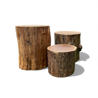 Stump Seating