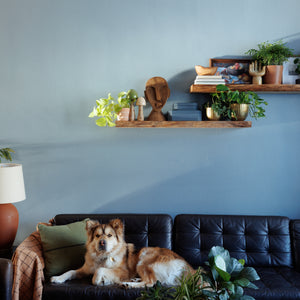 Live Edge Floating Shelf Kit