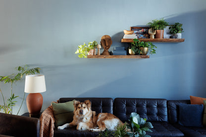 Live Edge Floating Shelf Kit