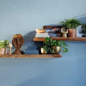 Live Edge Floating Shelf Kit
