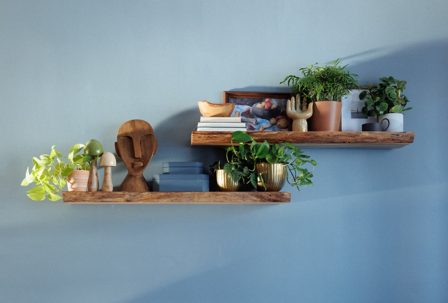 Live Edge Floating Shelf Kit