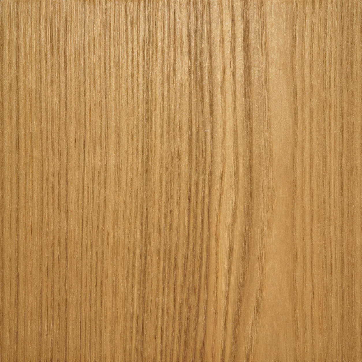 Ash Wood Stain Samples