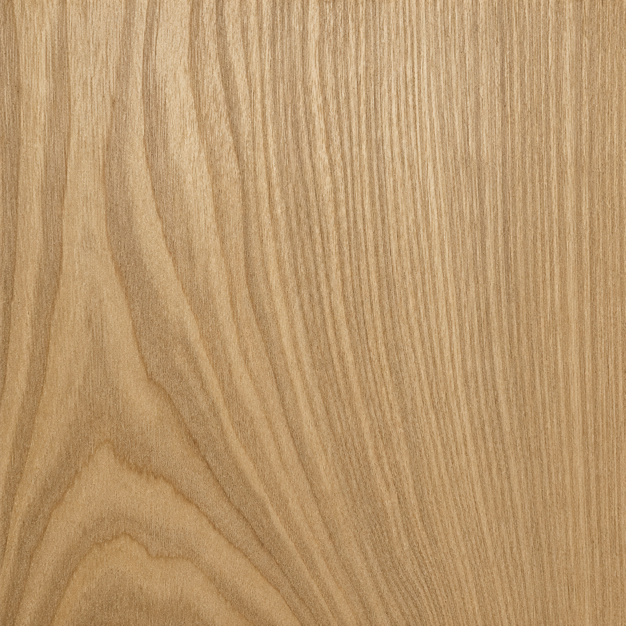 Ash Wood Stain Samples