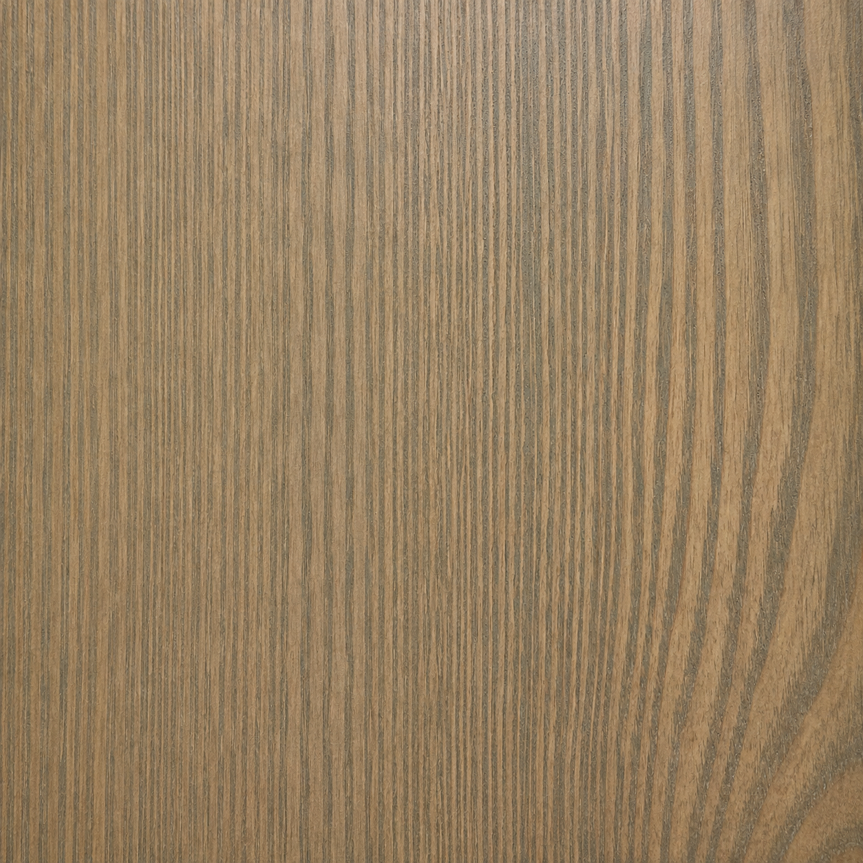 Ash Wood Stain Samples