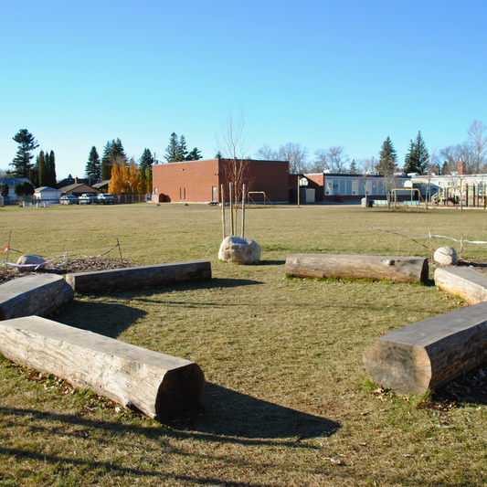 Outdoor setting with wooden logs arranged in a circle on grass, with a building and trees in the background.