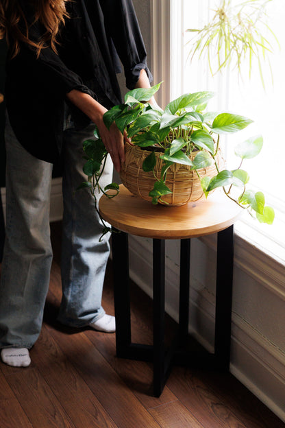 Urban Lumber Classic Round Side Table with natural elm wood top and black steel base, holding a potted plant.