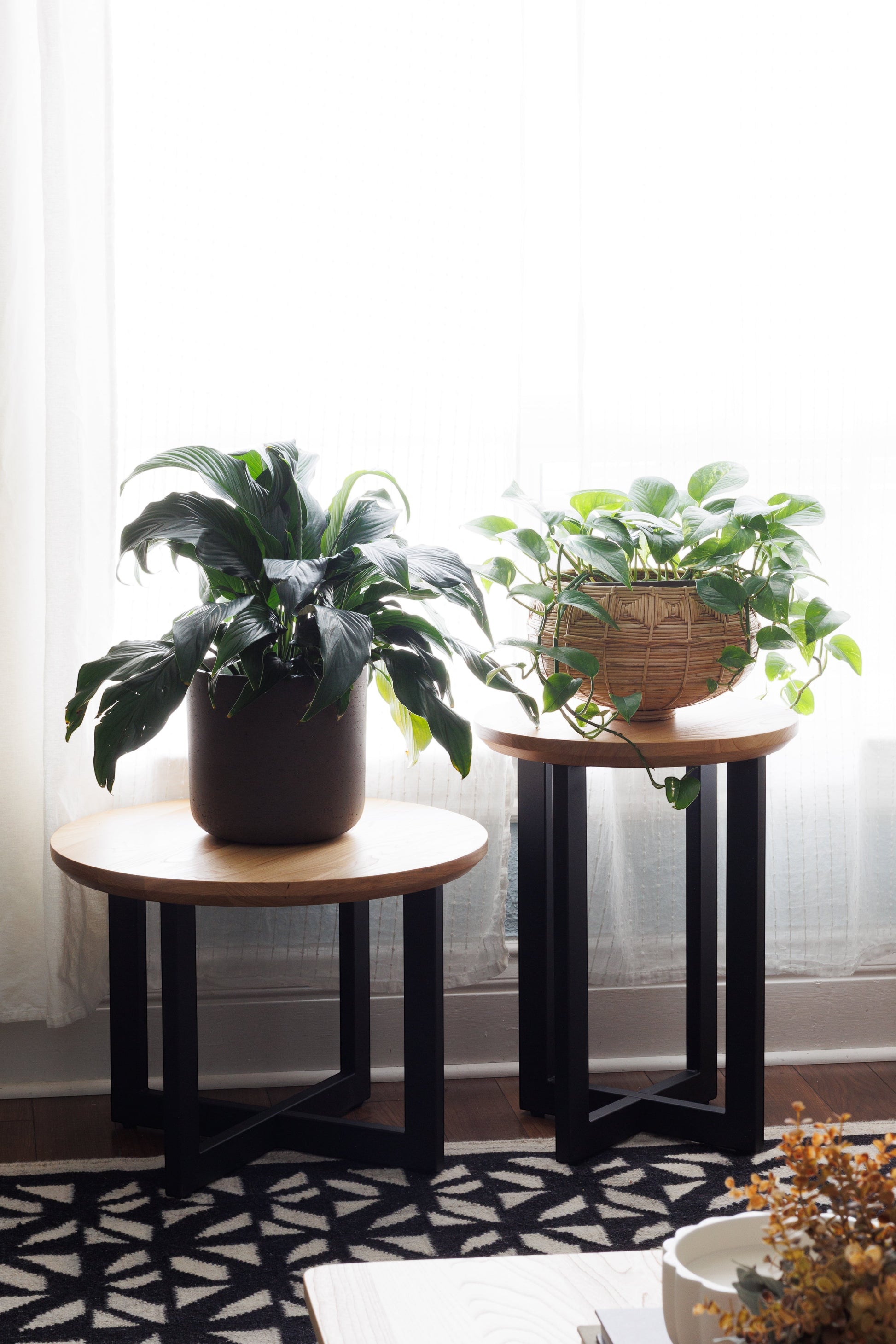 Urban Lumber Classic Nesting Accent Tables with solid wood tops and black metal bases, featuring plants.