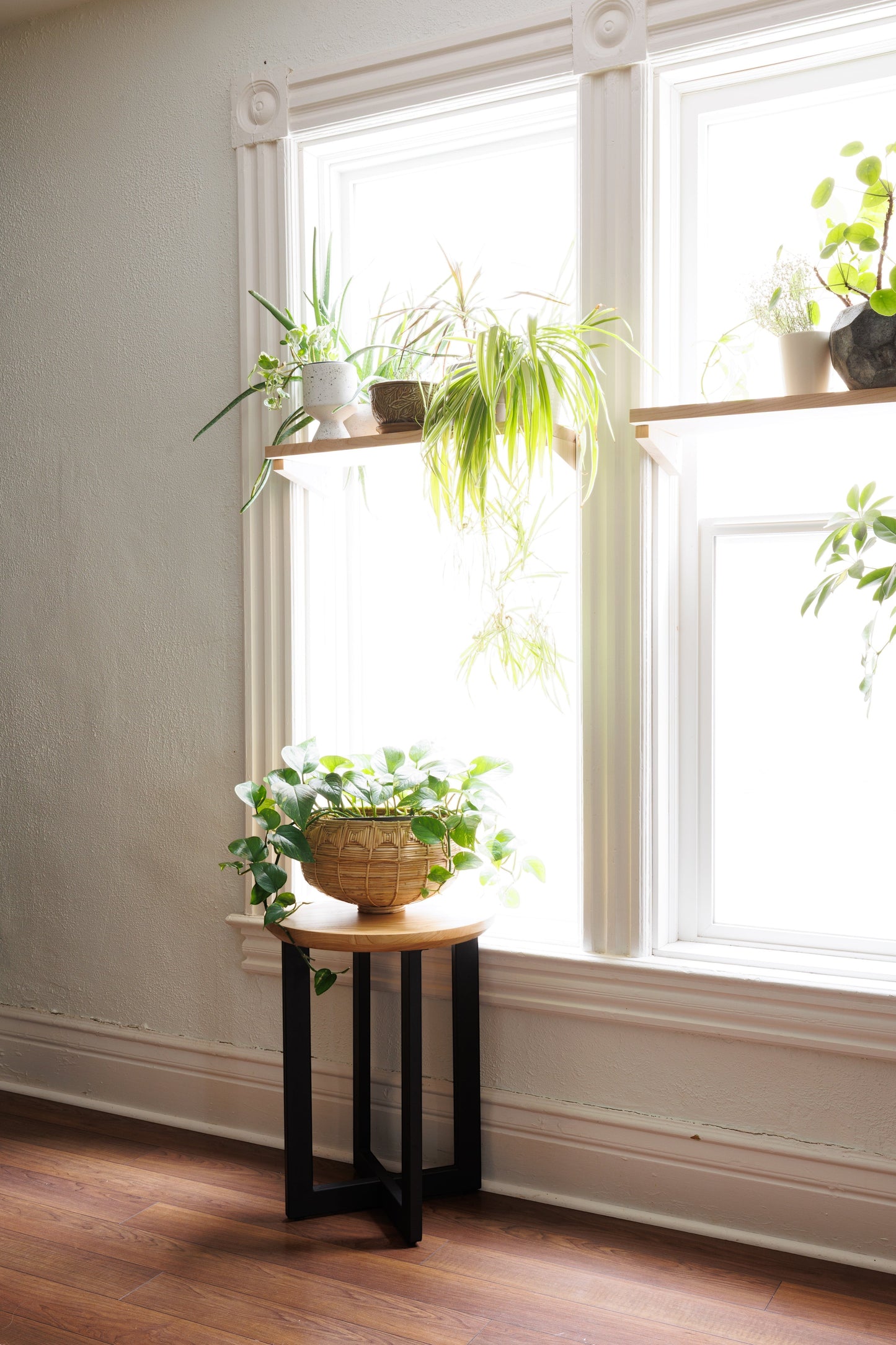 Urban Lumber Classic Round Side Table made of salvaged elm with a black steel base, holding a potted plant.